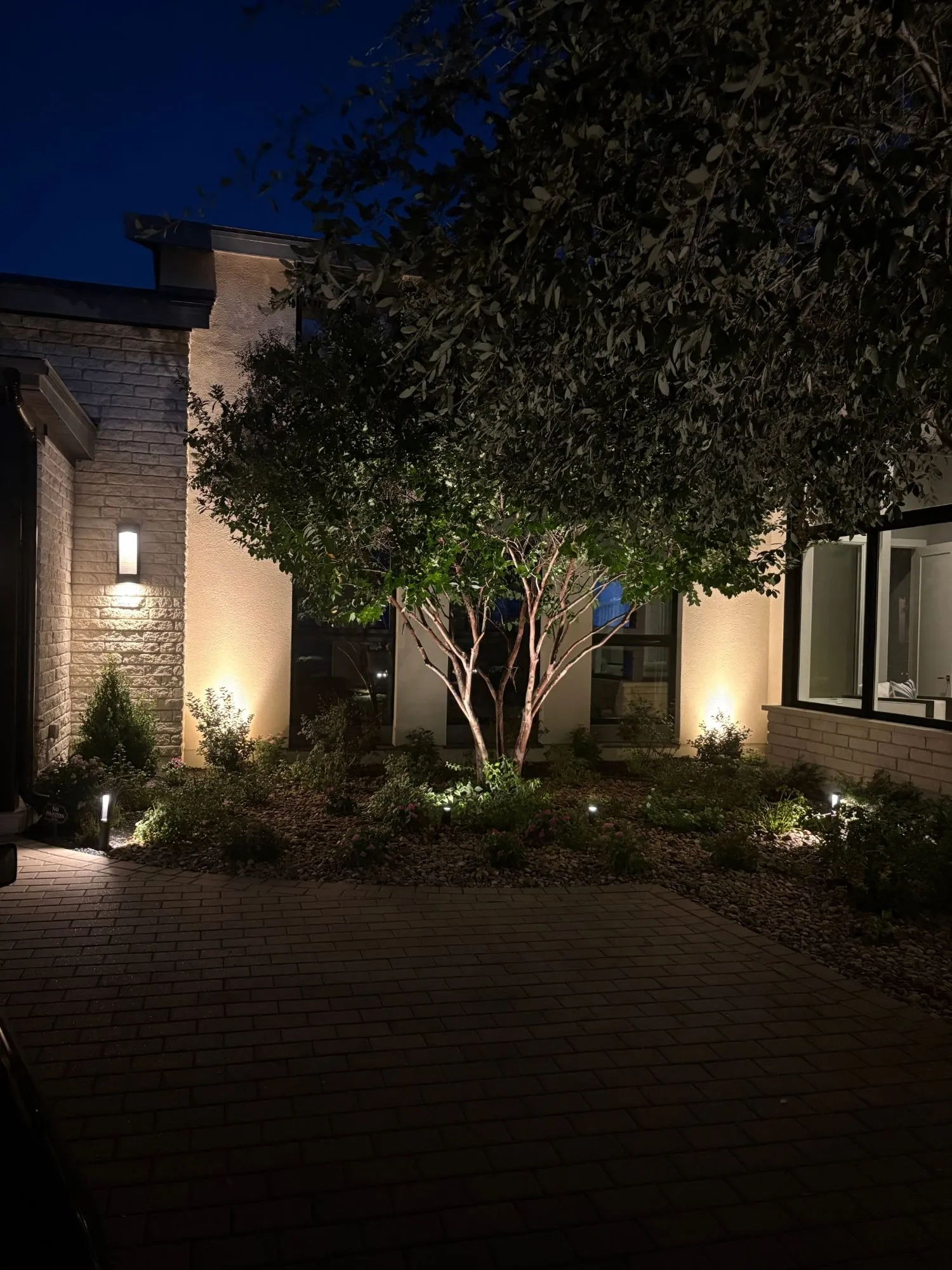 Crepe myrtle uplit in a courtyard bed, with path lights and softly washed walls