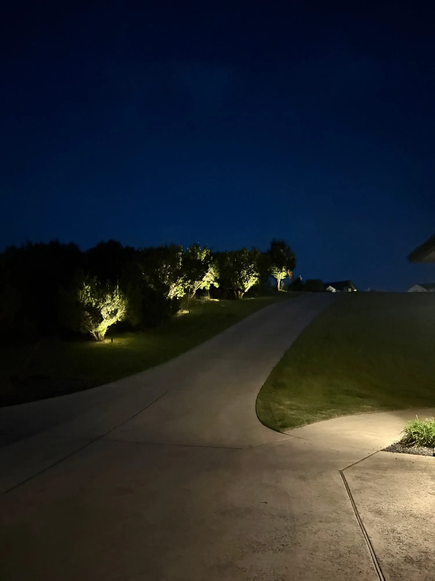 Long driveway climbing a hill, lined with uplit trees