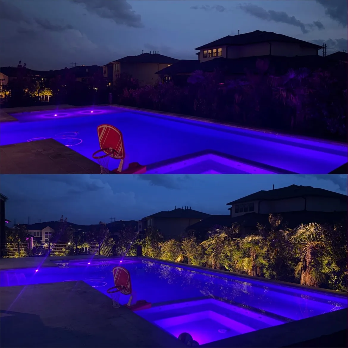 Before and after: palms and shrubs uplit along a backyard pool